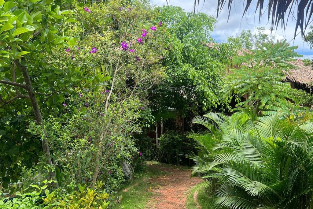 Garden path through flowering shrubs and palms.