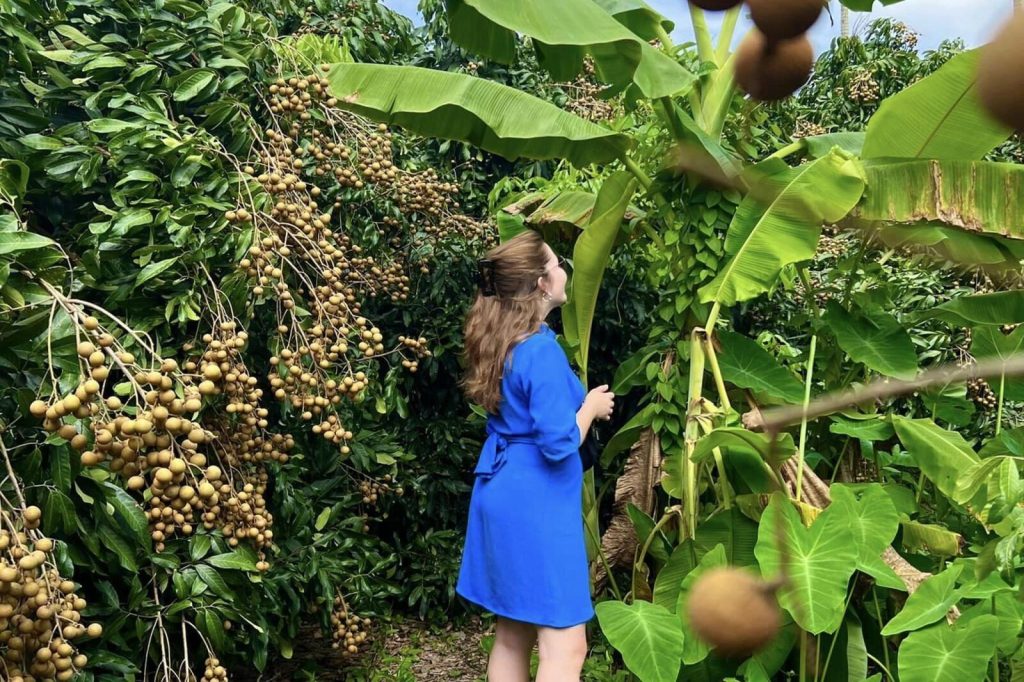 A guest among the fruit trees in the orchard.