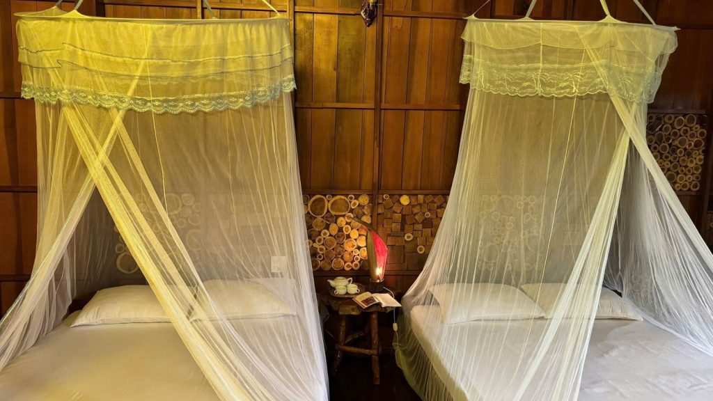 Twin beds with mosquito nets in a wooden room.