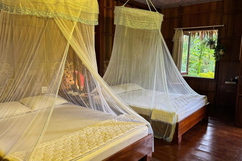 Twin beds with yellow mosquito nets by the window.