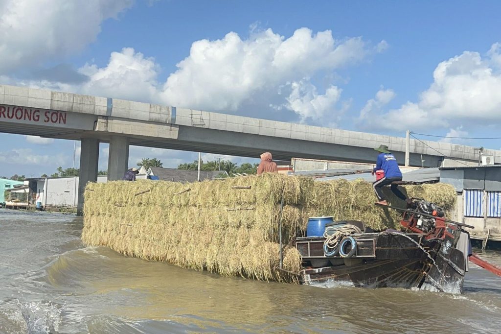 A boat loaded with straw passing under a bridge.