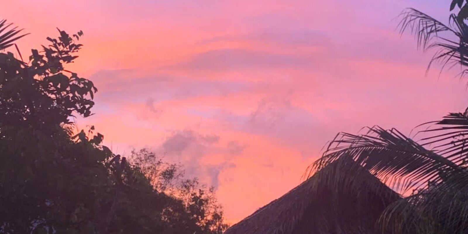 A pink dusk sky behind the palms and the thatched roofs.